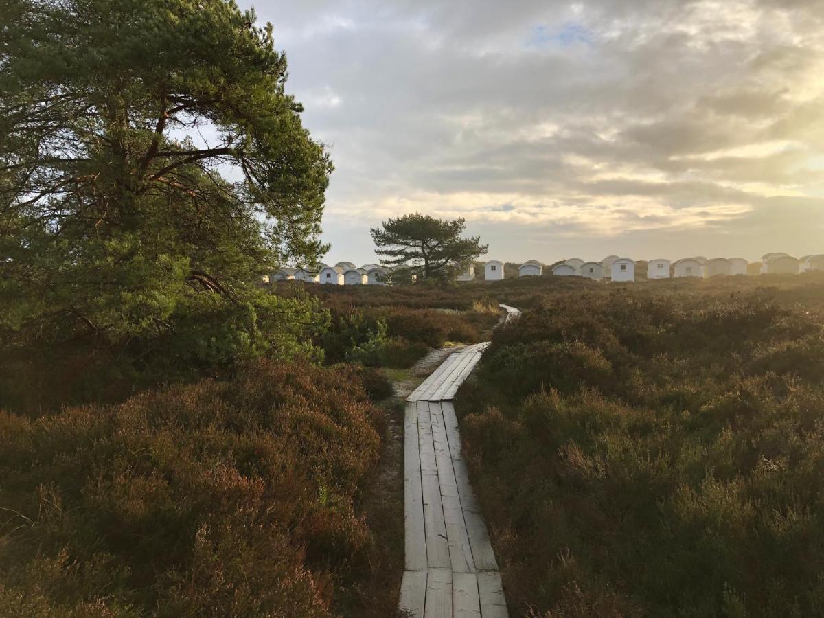 Ljunghusen Guesthouse Ljungskogen エクステリア 写真